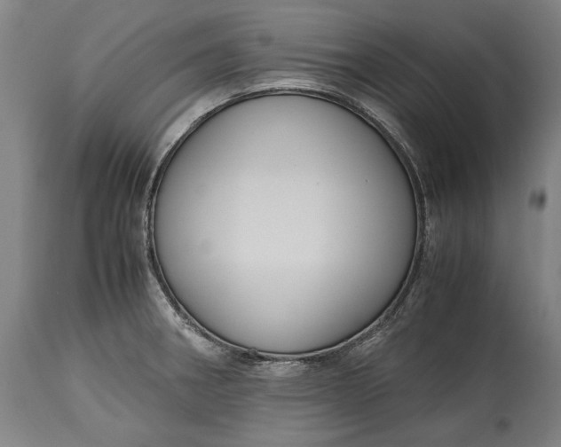 X0000114621282200911101206