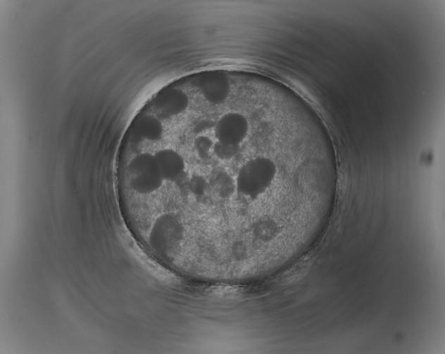 X0000114621283200911101206