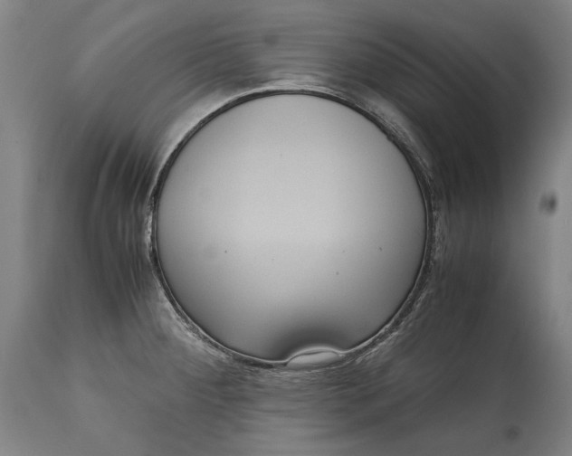 X0000114621284200911101206
