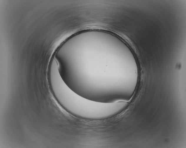 X0000114621285200911101206
