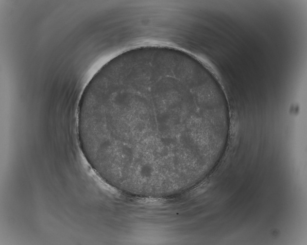 X0000114621287200911101206