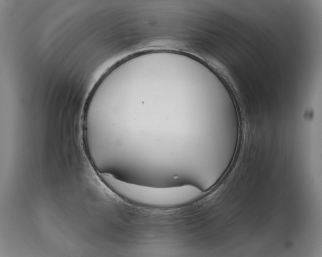 X0000114621288200911101206