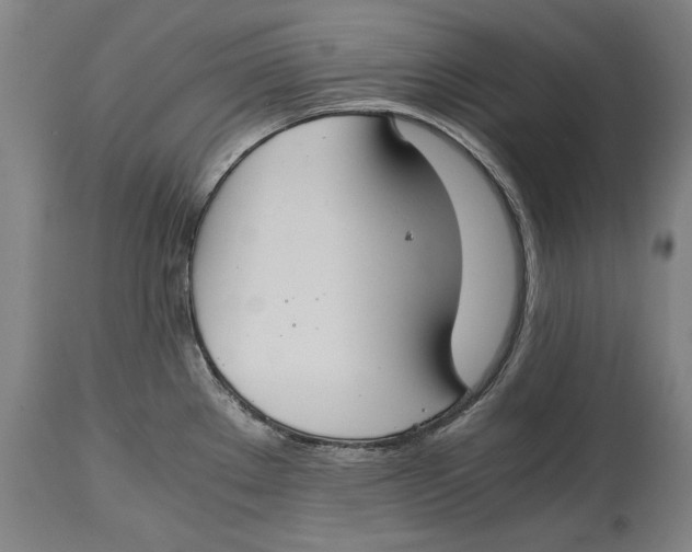 X0000114621289200911101206
