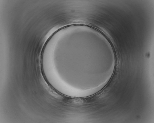 X0000114621291200911101206