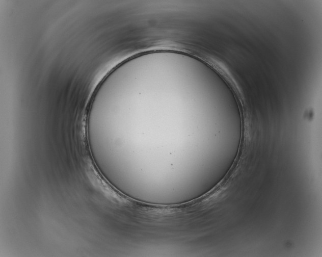 X0000114621292200911101206