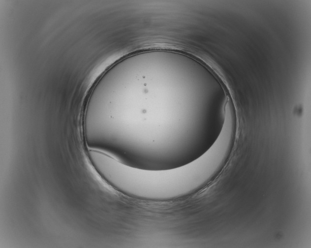 X0000114621293200911101206