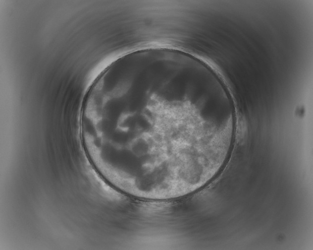 X0000114621294200911101206