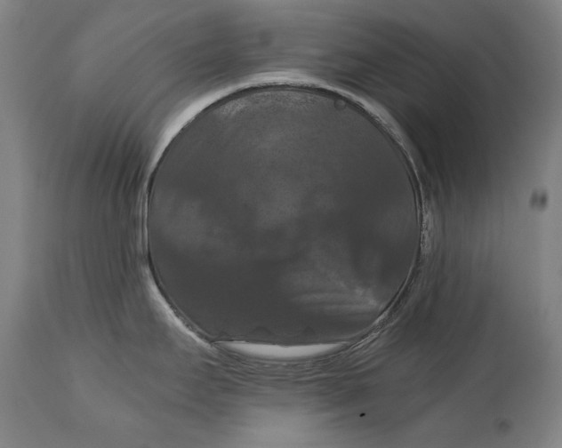 X0000114621295200911101206