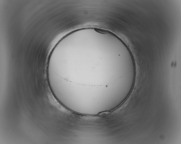 X0000114621296200911101206