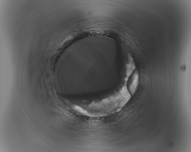 X0000114621297200911101205