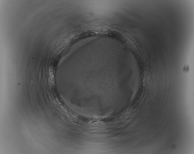 X0000114621298200911101205