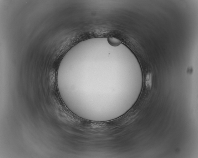 X0000114621299200911101205