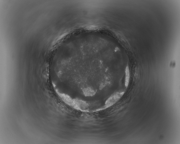 X0000114621301200911101205