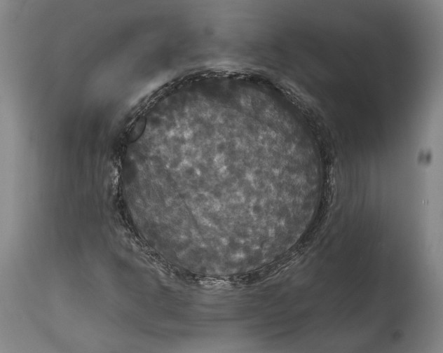 X0000114621302200911101205