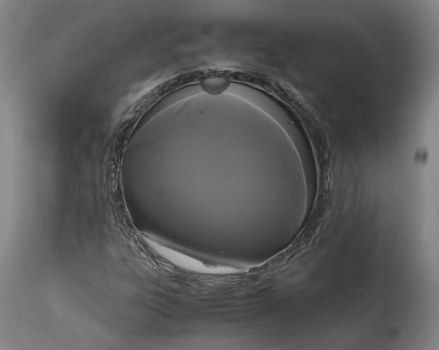 X0000114621303200911101205
