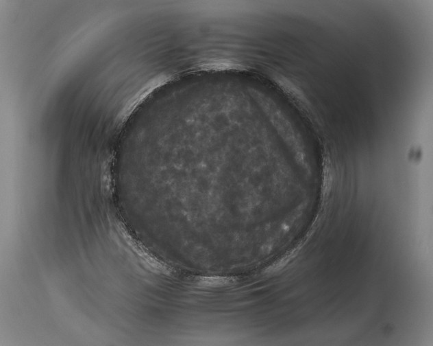 X0000114621305200911101205