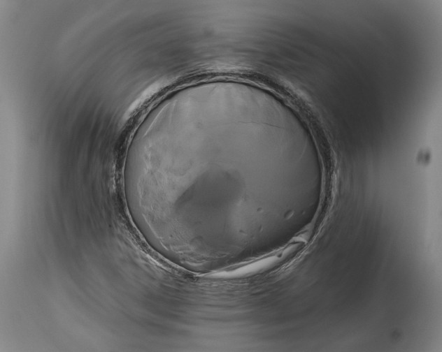 X0000114621306200911101205