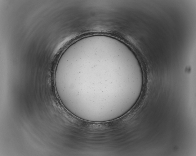 X0000114621307200911101205