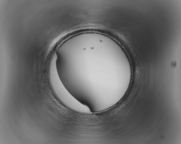 X0000114621310200911101205