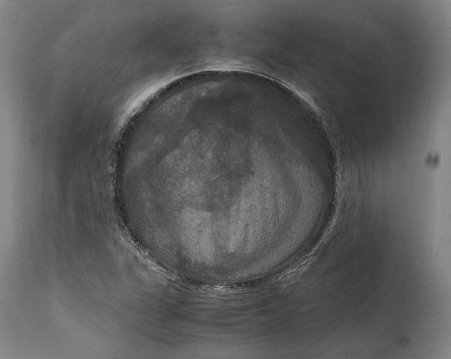 X0000114621311200911101205