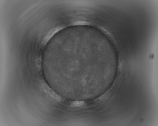 X0000114621313200911101206