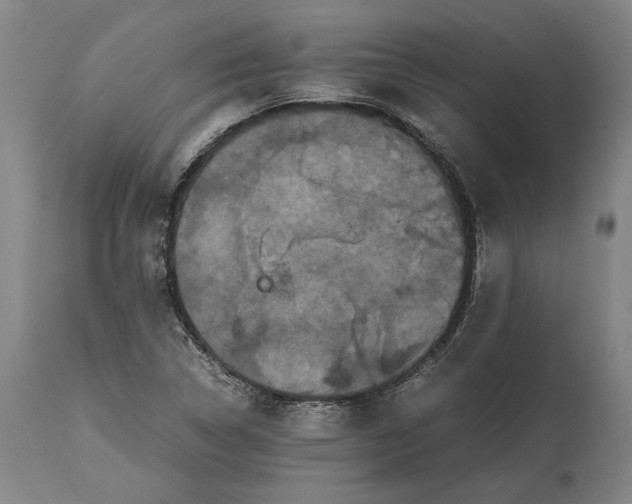 X0000114621314200911101206