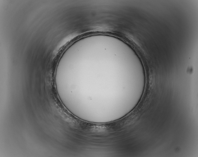X0000114621315200911101206