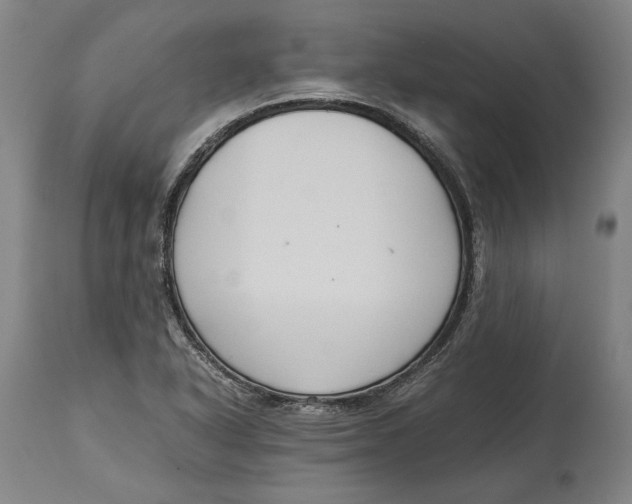 X0000114621318200911101206