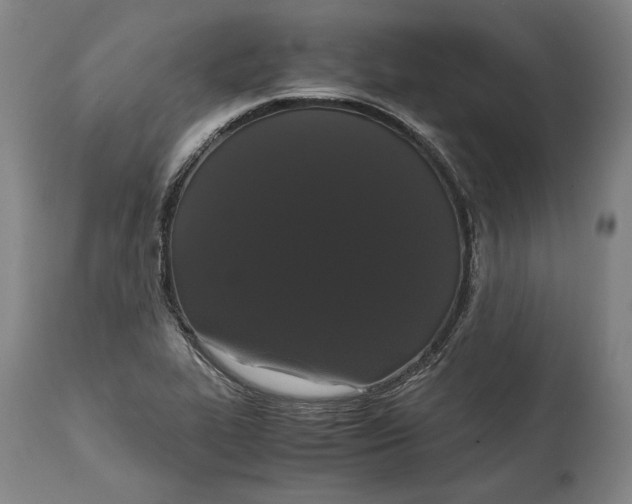 X0000114621319200911101206