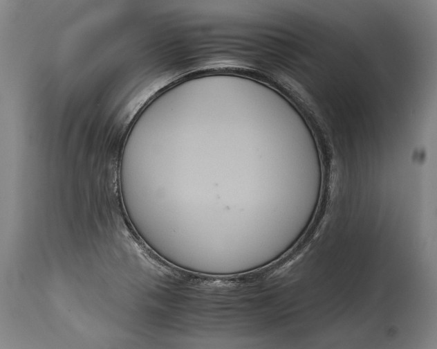 X0000114621321200911101206