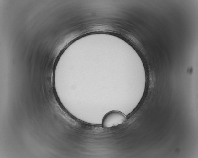 X0000114621322200911101206