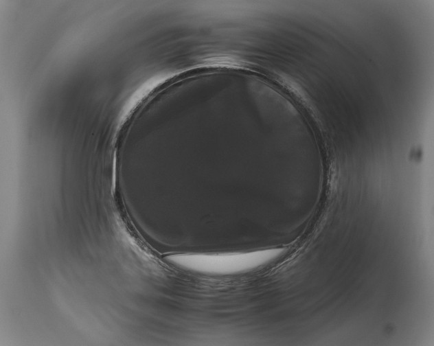 X0000114621323200911101206