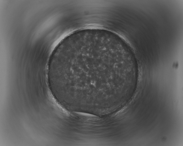 X0000114621325200911101206