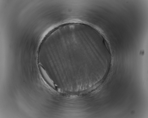 X0000114621326200911101206