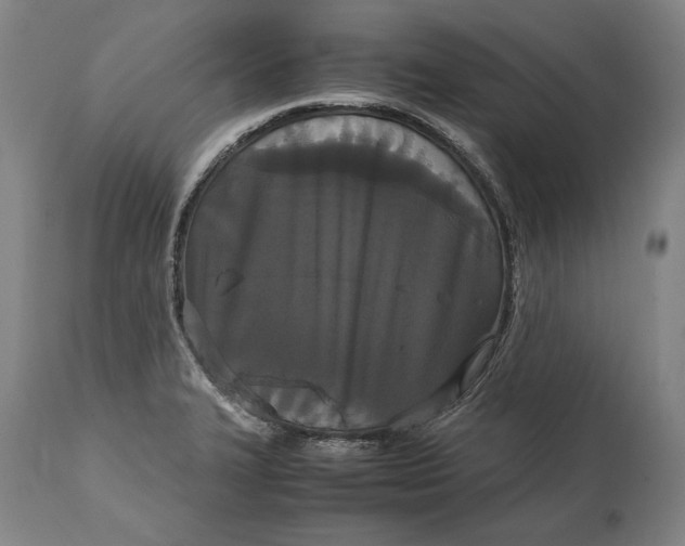 X0000114621327200911101206