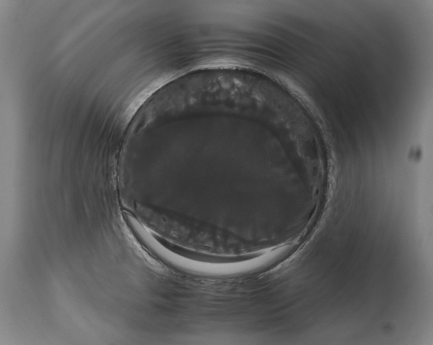 X0000114621329200911101206