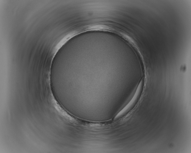 X0000114621330200911101206