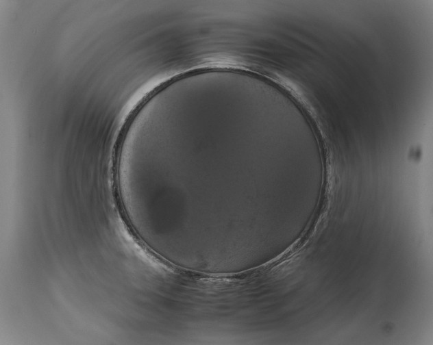 X0000114621331200911101206