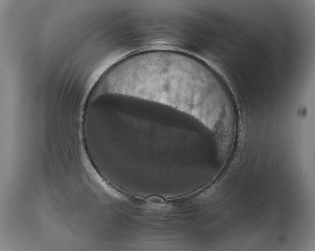 X0000114621333200911101206