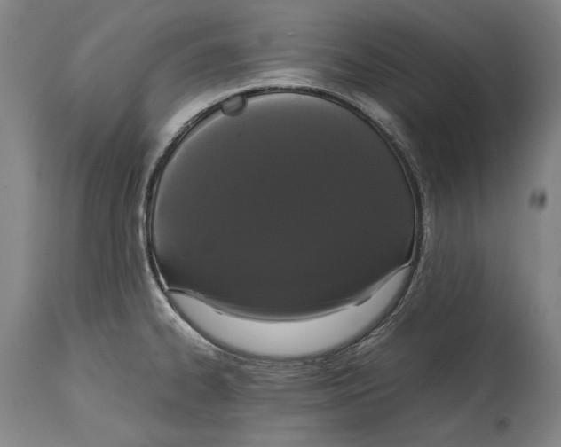 X0000114621334200911101206