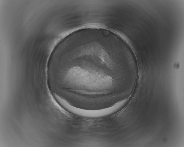 X0000114621335200911101206