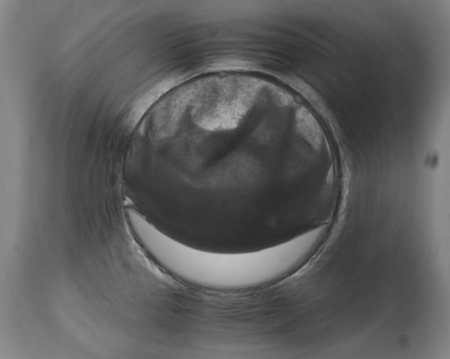 X0000114621337200911101206