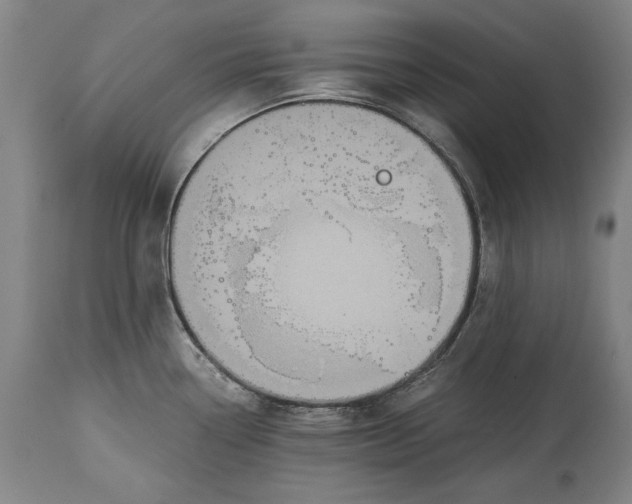 X0000114621338200911101206