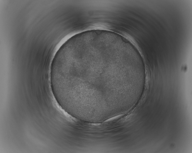 X0000114621339200911101206