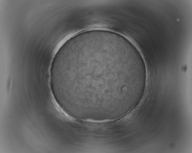 X0000114621341200911101206