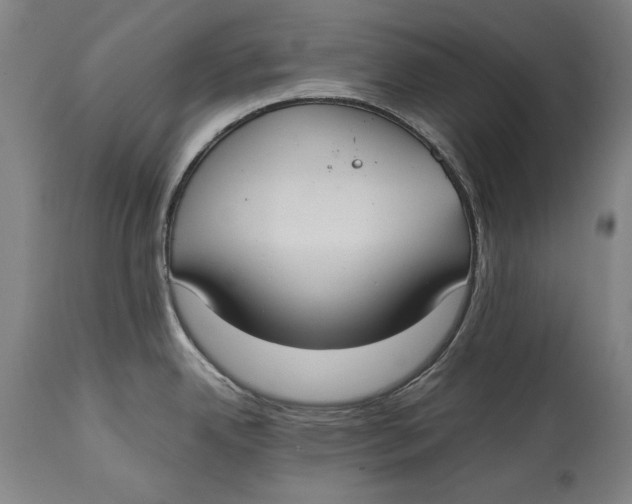 X0000114621342200911101206