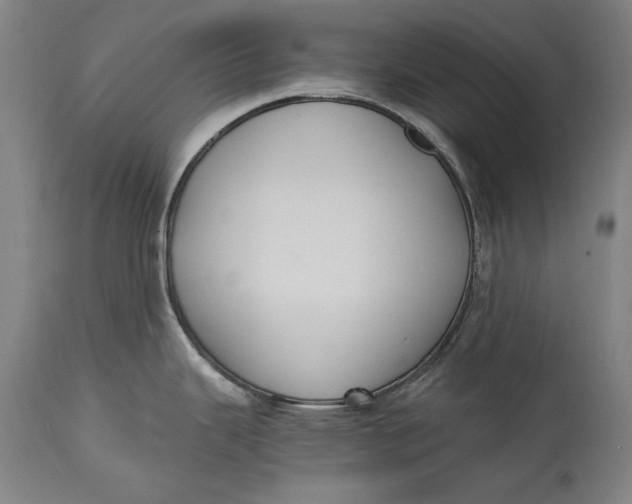 X0000114621343200911101206