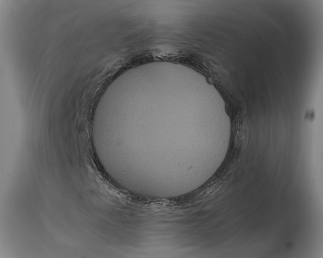 X0000114621345200911101205