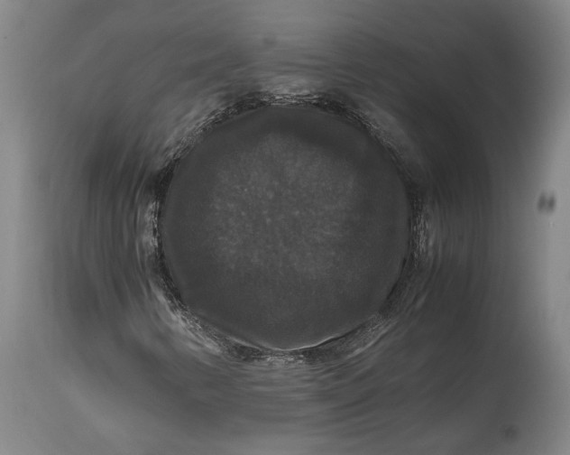 X0000114621346200911101205