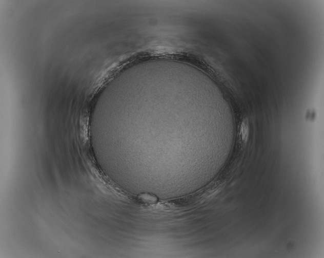 X0000114621348200911101205